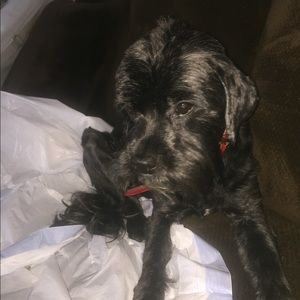 Meet your Posher, Maureen